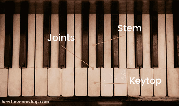 نحوه تمیز کردن کلیدهای پیانو - فروشگاه موسیقی بتهوون