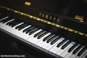 بهترین برند پیانو دیجیتال - فروشگاه موسیقی بتهوون