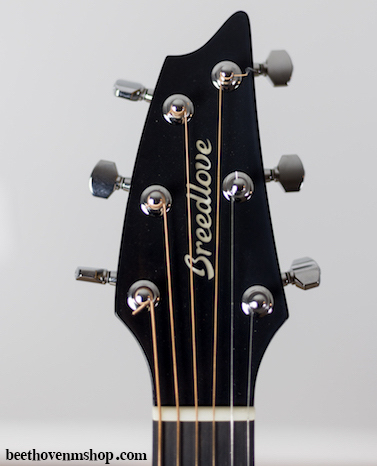 آناتومی گیتار - فروشگاه موسیقی بتهوون